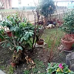 La Casa Dei Poeti Σπίτι διακοπών *