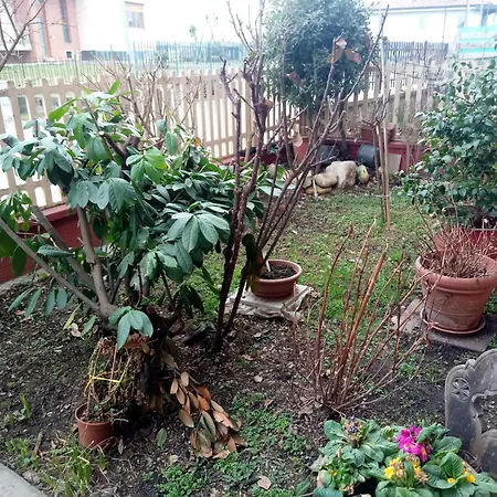 La Casa Dei Poeti 別荘 *