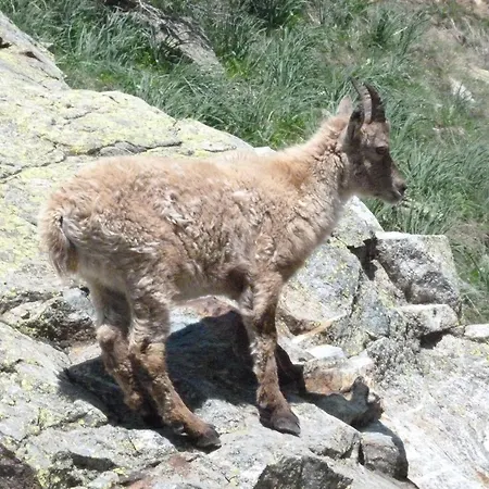 La Casa Dei Poeti * Cervasca