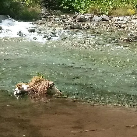 La Casa Dei Poeti Cervasca