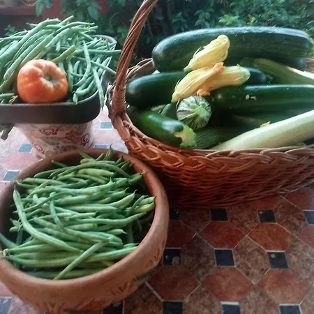 La Casa Dei Poeti Vakantiehuis Cervasca