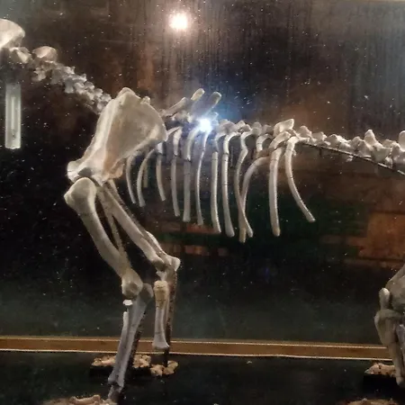 Vakantiehuis La Casa Dei Poeti Cervasca