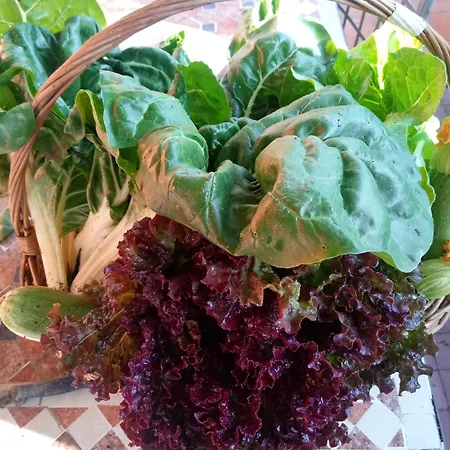 Semesterbostad La Casa Dei Poeti Cervasca