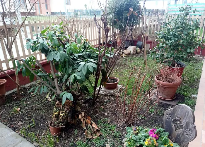 La Casa Dei Poeti Дом отдыха *