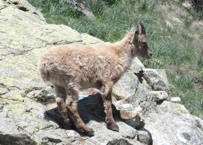 La Casa Dei Poeti * Cervasca