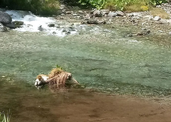La Casa Dei Poeti Cervasca