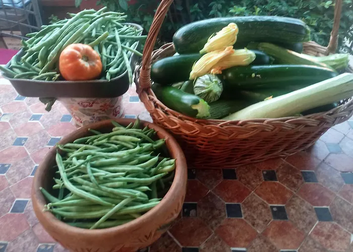 La Casa Dei Poeti Дом отдыха Cervasca