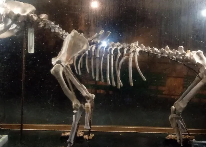 Дом отдыха La Casa Dei Poeti Cervasca