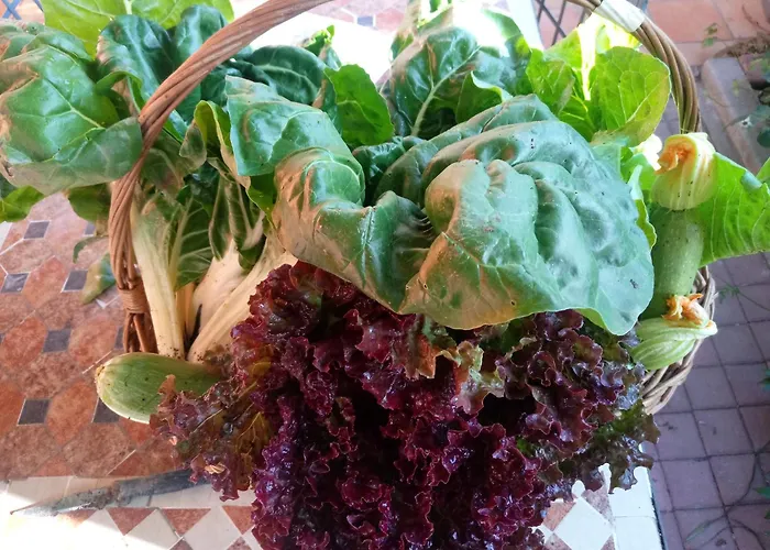 Dom wakacyjny La Casa Dei Poeti Cervasca