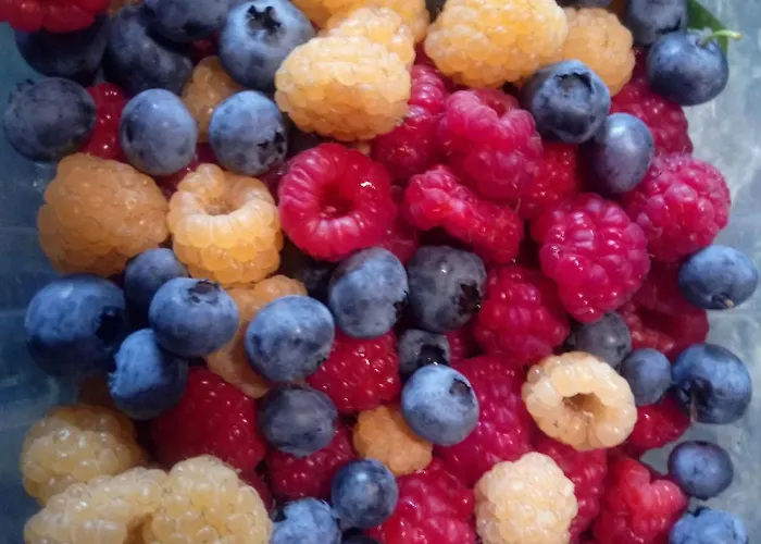 La Casa Dei Poeti * Cervasca